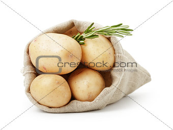 fresh young potato in sack bag with rosemary