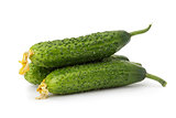 fresh organic greenhouse cucumbers