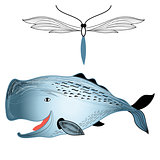whale and butterfly 