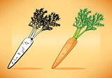 Carrot with Top