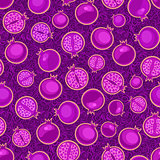 Purple Seamless Pattern with Violet Pomegranates