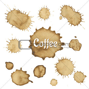 Coffee Stain Collection