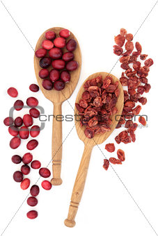 Cranberry Fruit