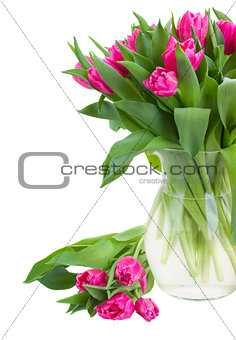 bouquet of double  pink tulips in vase