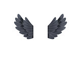 black wings