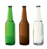 beer bottles in vector 