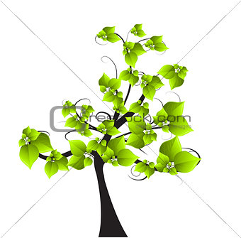 Season tree with green leaves 