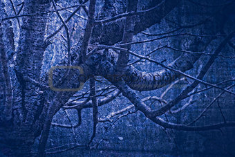 artwork in painting style gloomy wood in dark blue tones