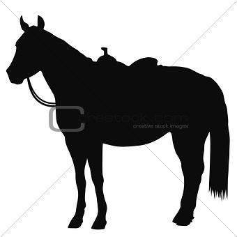 Western Horse Silhouette