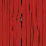 Peeking From Curtain