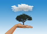 Hand holding tree under a rain cloud