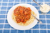 Spaghetti with Beef and Sausage Sauce
