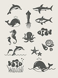Ocean and sea fishes