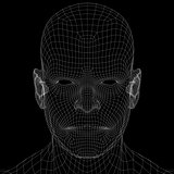 Human head. Wire frame render