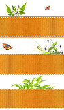 Set of nature banners