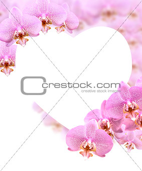 Orchid Greeting Card