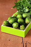 fresh ripe green cucumbers on a wooden table