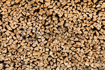 Large beech wood pile