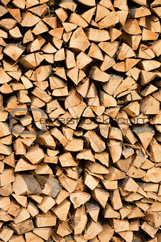 Large beech wood pile