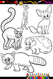 wild animals set for coloring book