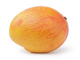 ripe yellow red mango