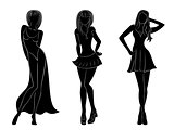 Three slim attractive women silhouettes