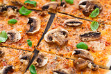 Vegetarian pizza with mushrooms