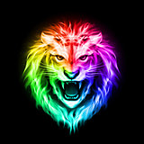 Head of colorful  fire lion