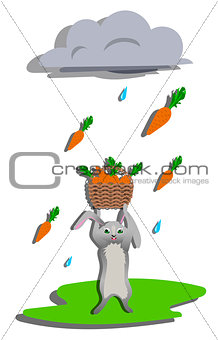 Rain for hare