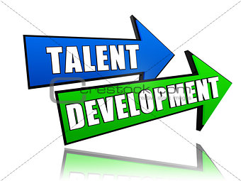 talent development in arrows