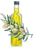 Olive oil. Watercolor illustration