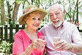 Senior Couple Drinks Champagne