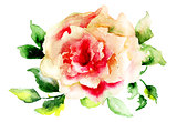 Stylized rose flower 