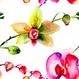 Seamless patter with Orchids flowers