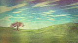 Grass and sky landscape with retro vintage effect