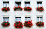 typical switzerland windows