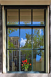 Bouquet of red tulips in the vase on the sill behind the window with reflection of building under blue sky in Amsterdam, Netherlands.