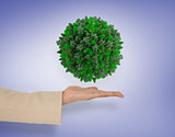Composite image of female hand presenting green sphere