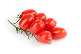 Plum tomatoes on white background