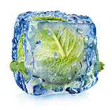 Ice cube with brussel sprouts