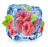 Raspberry in ice with drops