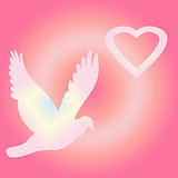 pigeon and heart on a pink background