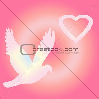 pigeon and heart on a pink background