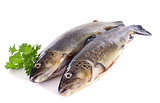 Brown trouts