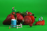 Construction Workers in Conceptual Food Imagery With Strawberrie