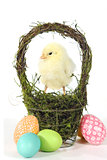 Image With Baby Chicks and Eggs