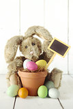 Easter Bunny Themed Holiday Occasion Image