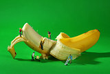 Construction Workers in Conceptual Food Imagery With Banana