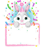Baby Bunny Birthday