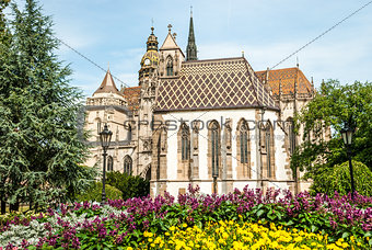 Cathedral of St. Elizabeth with garden